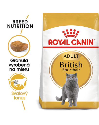 ROYAL CANIN British Shorthair Adult 2kg granule pre britské krátkosrsté mačky