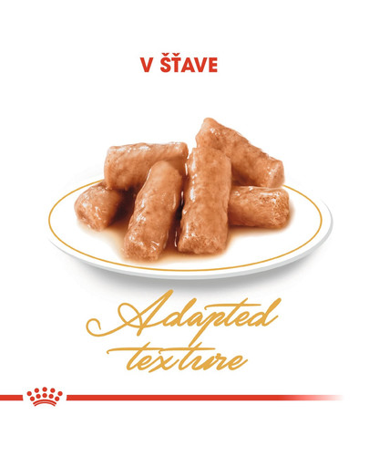 ROYAL CANIN British Shorthair Gravy 12x85g