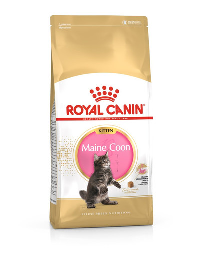 ROYAL CANIN Maine Coon Kitten 4kg granule pre mainské mývalie mačiatka