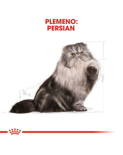 ROYAL CANIN Persian Adult 2kg granule pre dospelé perzské mačky