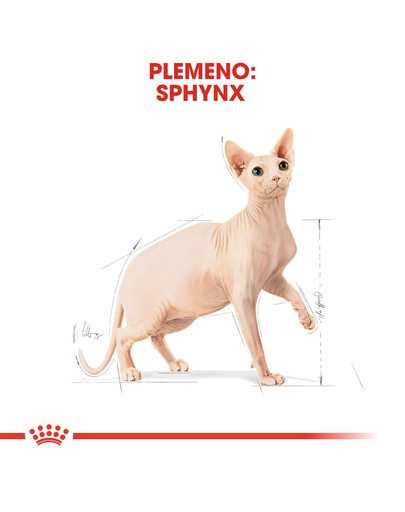 ROYAL CANIN Sphynx Adult 2 kg granule pre sphynx mačky