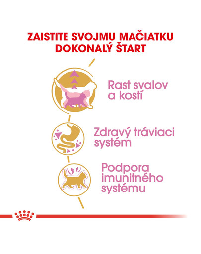 ROYAL CANIN British Shorthair Kitten 10kg granule pre britské krátkosrsté mačiatka