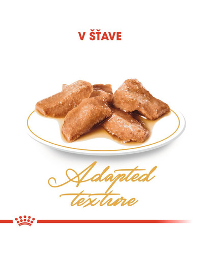 ROYAL CANIN Maine Coon Loaf 85g  kapsička s paštétou pre mainskú mývaliu mačku