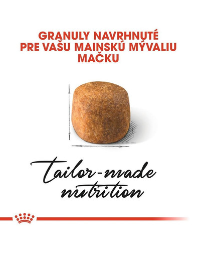 ROYAL CANIN Maine Coon Adult 10kg granule pre dospelé mainské mývalie mačky