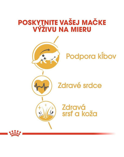 ROYAL CANIN Maine Coon Adult 10kg granule pre dospelé mainské mývalie mačky