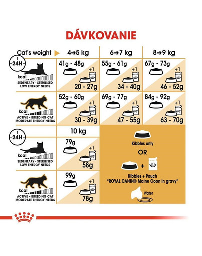 ROYAL CANIN Maine Coon Adult 10kg granule pre dospelé mainské mývalie mačky