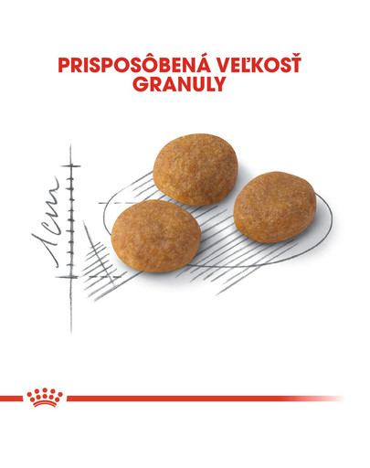 ROYAL CANIN EAromatic Exigent 400g granule pre maškrtné mačky