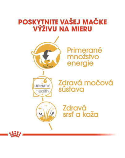 ROYAL CANIN British Shorthair Gravy 12x85g