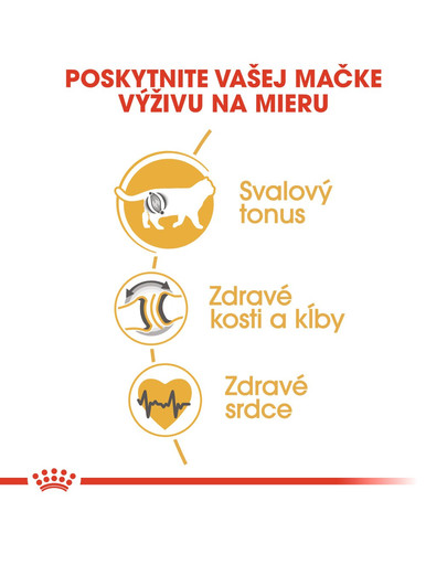 ROYAL CANIN British Shorthair Adult 10kg granule pre dospelé britské krátkosrsté mačky