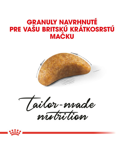 ROYAL CANIN British Shorthair Kitten 400g granule pre britské krátkosrsté mačiatka