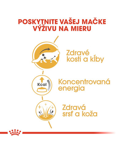 ROYAL CANIN Maine Coon Loaf 85g  kapsička s paštétou pre mainskú mývaliu mačku