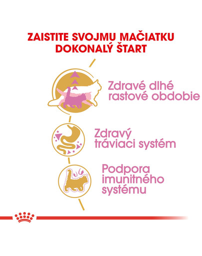 ROYAL CANIN Maine Coon Kitten 400g granule pre mainské mývalie mačiatka