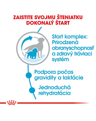 ROYAL CANIN Medium Starter Mother & Babydog 12 kg granule pre brezivé alebo dojčiace suky a šteniatka.