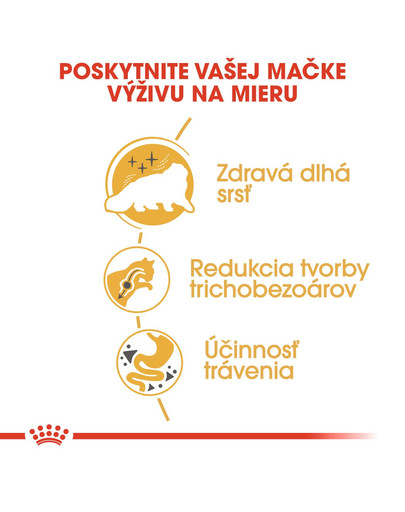 ROYAL CANIN Persian Adult 10kg granule pre dospelé perzské mačky