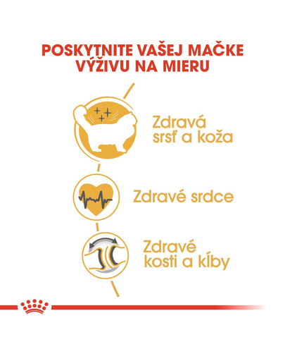 ROYAL CANIN Ragdoll Adult 10kg granule pre ragdoll mačky