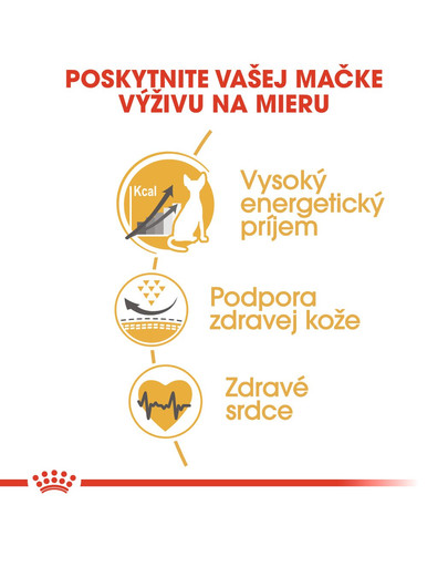 ROYAL CANIN Sphynx Adult 10 kg granule pre sphynx mačky