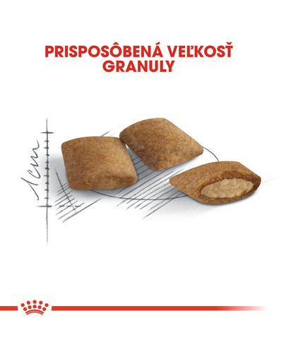ROYAL CANIN Ageing 12+ granule pre staré mačky 400g