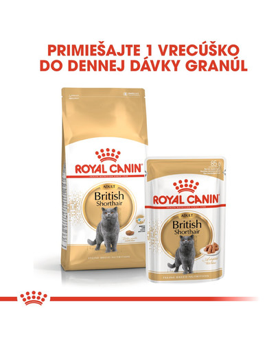 ROYAL CANIN British Shorthair Gravy 12x85g
