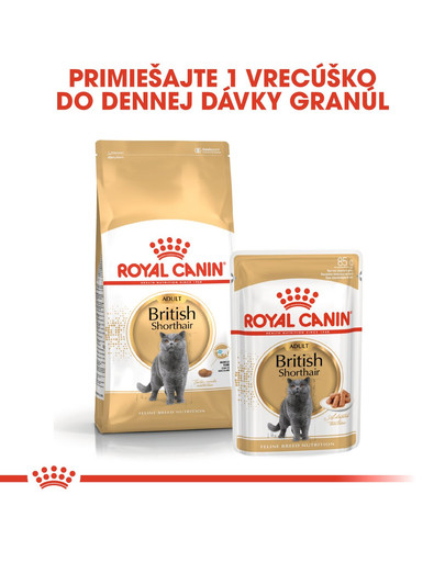 ROYAL CANIN British Shorthair Adult 2kg granule pre britské krátkosrsté mačky