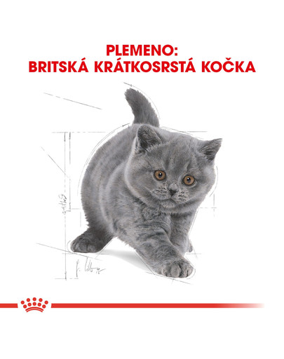 ROYAL CANIN British Shorthair Kitten 200g