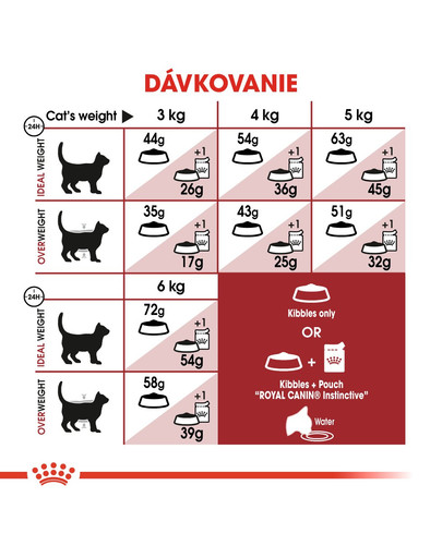ROYAL CANIN Fit 2kg granule pre správnu kondíciu mačiek