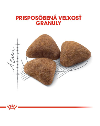 ROYAL CANIN Indoor 2kg granule pre dospelé mačky chované v byte