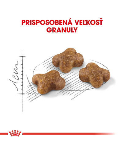 ROYAL CANIN Kitten 4 kg granule pre mačiatka