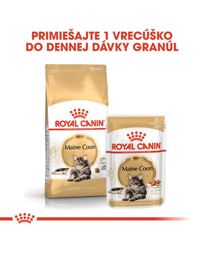 ROYAL CANIN Maine Coon Loaf 85g  kapsička s paštétou pre mainskú mývaliu mačku