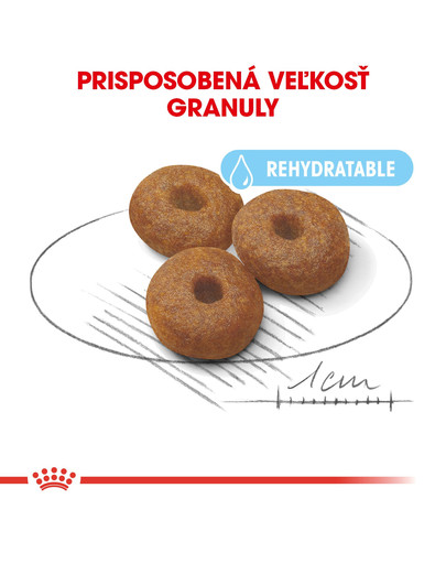 ROYAL CANIN Maxi Starter Mother & Babydog 4kg granule pre brezivé alebo dojčiace suky a šteňatá