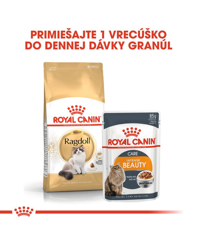 ROYAL CANIN Ragdoll Adult 2kg granule pre ragdoll mačky