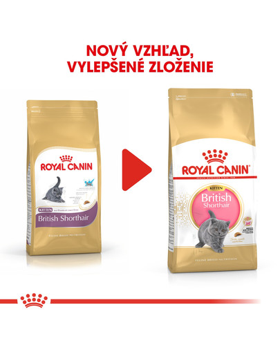 ROYAL CANIN British Shorthair Kitten 400g granule pre britské krátkosrsté mačiatka