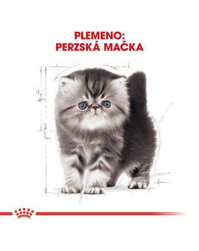 ROYAL CANIN Persian Kitten 400g granule pre perzské mačiatka