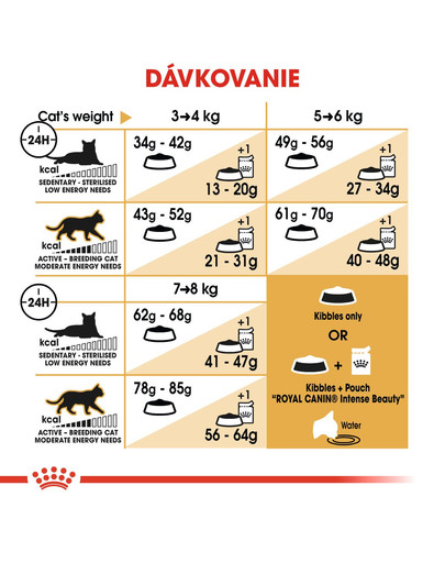 ROYAL CANIN Ragdoll Adult 400g granule pre ragdoll mačky