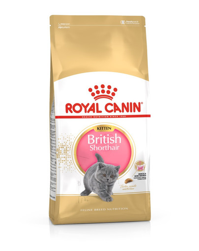 ROYAL CANIN British Shorthair Kitten 200g
