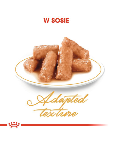 ROYAL CANIN British Shorthair 85g