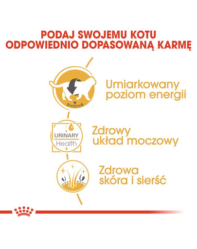 ROYAL CANIN British Shorthair 85g