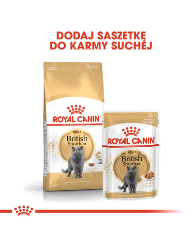 ROYAL CANIN British Shorthair 85g