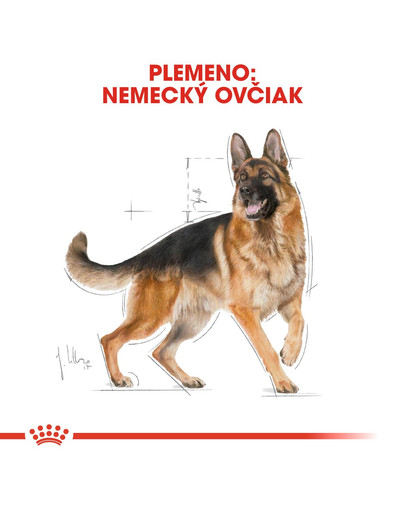 ROYAL CANIN German Shepherd Adult 11 kg granule pre dospelého nemeckého ovčiaka
