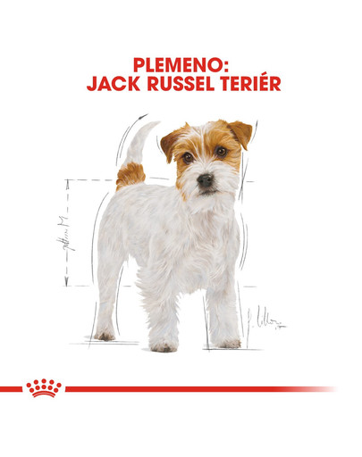 ROYAL CANIN Jack Russell Adult 7,5 kg granule pre dospelého jack russell teriéra