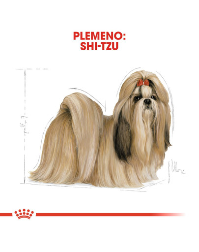 ROYAL CANIN Shih Tzu Adult 1.5 kg granule pre dospelého Shih Tzu