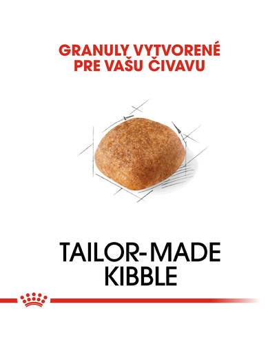 ROYAL CANIN Chihuahua Adult 500g granule pre dospelú čivavu