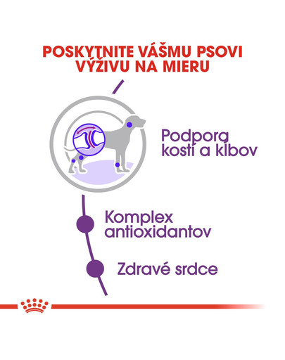 ROYAL CANIN Giant Adult 15kg granule pre dospelé obrie psy