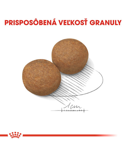 ROYAL CANIN Maxi Adult 10kg