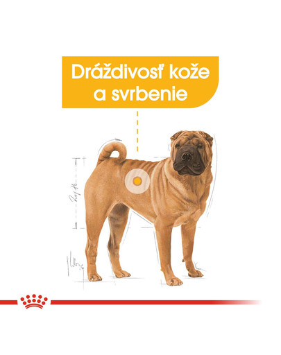ROYAL CANIN Medium Dermacomfort 3 kg granule pre stredné psy s problémami s kožou a srsťou