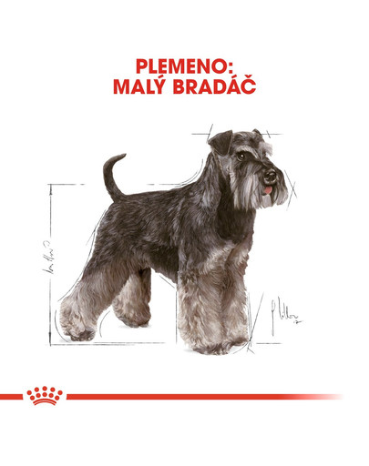 ROYAL CANIN Schnauzer Adult 3 kg granule pre dospelého bradáča