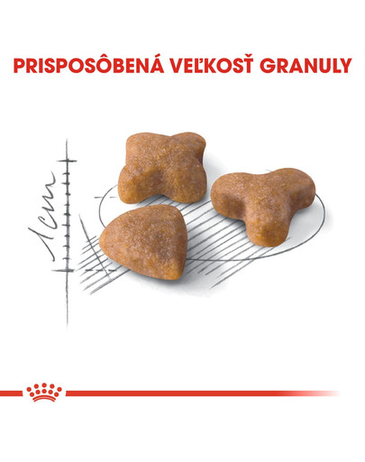 ROYAL CANIN Sensible 2kg granule pre mačky s citlivým trávením