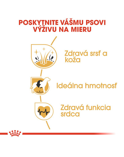 ROYAL CANIN Cocker Adult 12kg granule pre dospelého kokeršpaniela