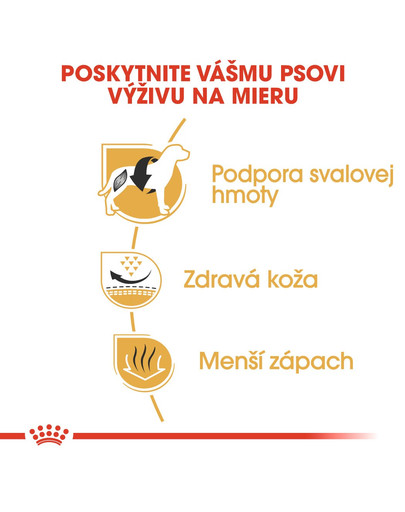 ROYAL CANIN French Bulldog Adult 9 kg granule pre dospelého francúzskeho buldočka