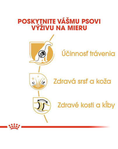 ROYAL CANIN German Shepherd Adult 3 kg granule pre dospelého nemeckého ovčiaka