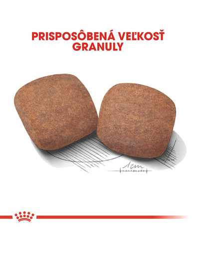 ROYAL CANIN Giant Adult 15kg granule pre dospelé obrie psy